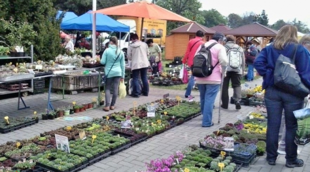 Jak dopadla jarní Flora Olomouc z pohledu ČOI?