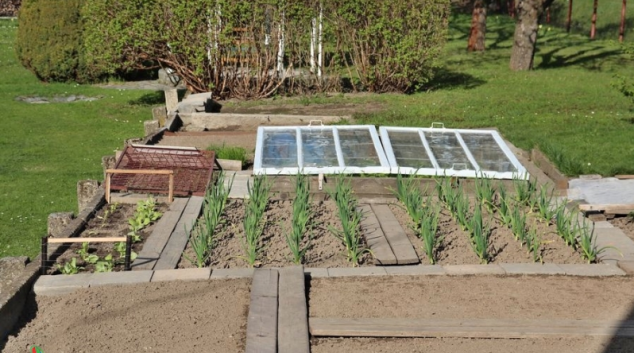 Ženě v Líšnici vandal poničil zahrádku