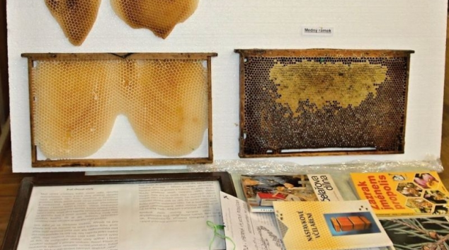 Obor Včelař bude možné studovat v Jeseníku