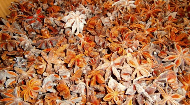 Z Číny na český trh směřovalo 750 kilo plesnivého badyánu