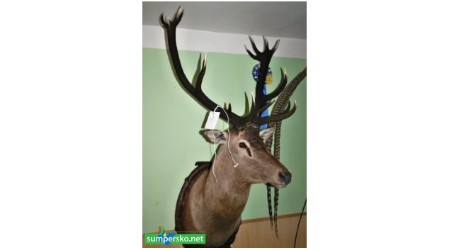 Padesát devět trofejí zajistila policie u dvou pytláků na Šumpersku