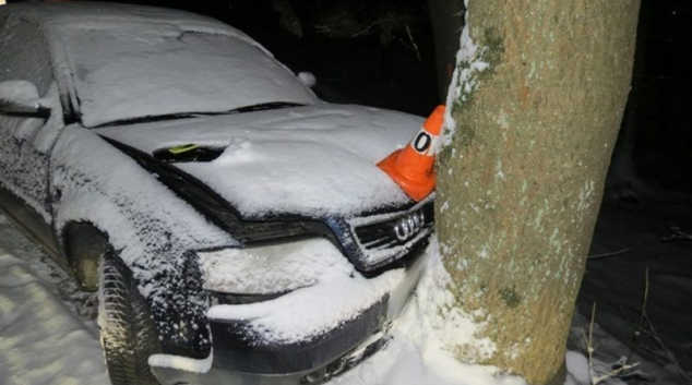 Řidička u Javorníku nezvládla rychlost a narazila do stromu