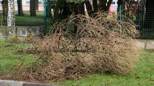 Nezaměstnaní mohou pomoci při odklízení následků silného větru
