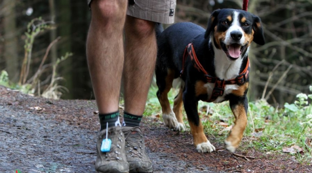 Dogtreking zařadili pořadatelé do všech kategorií Horské výzvy