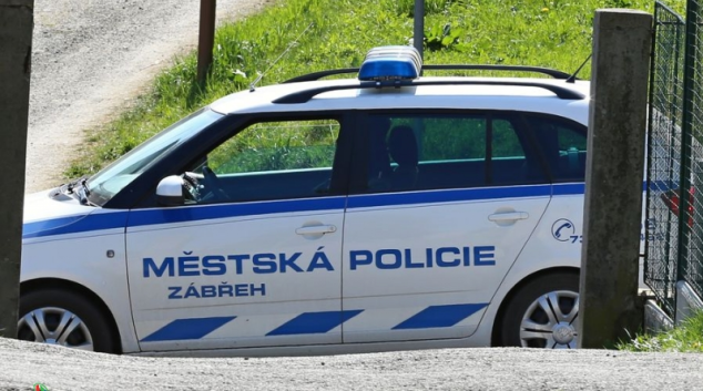 Vandal v Zábřehu polámal 12 stromků