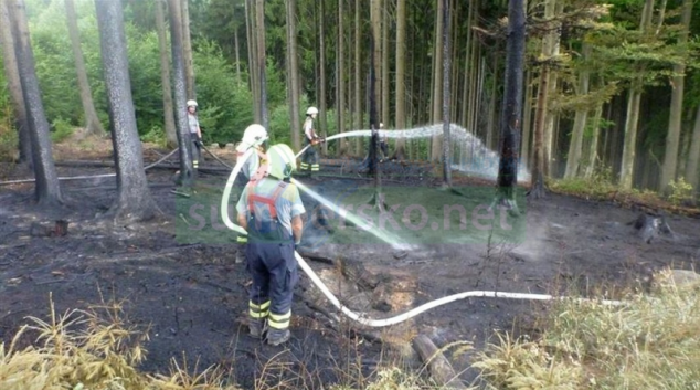AKTUALIZOVÁNO! Pravděpodobně po úderu blesku začal hořet les za obcí Krchleby