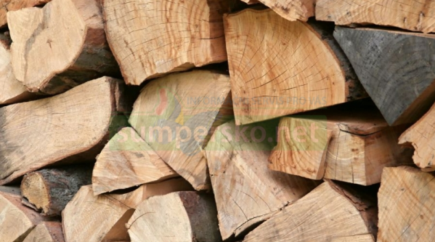 Na Olomoucku přišli o vytěženou kulatinu za 80 tisíc