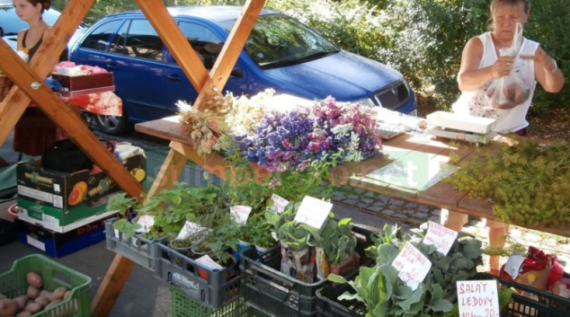 Srpnové Farmářské trhy v Šumperku můžete navštívit již tento pátek