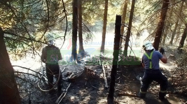 Dva požáry v lesích na Šumpersku způsobila nedbalost