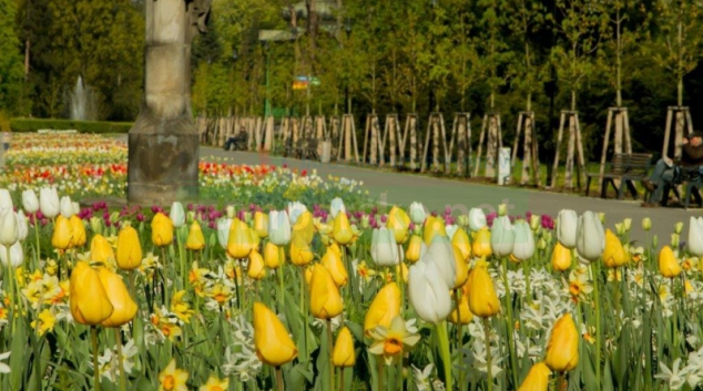 V Olomouci začíná letní Flora