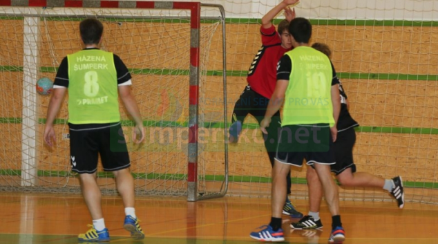 Lesana Zubří vs TJ Šumperk  35:34