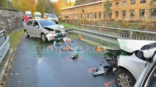 Řidička na Jesenicku zavinila nehodu za 170 tisíc korun
