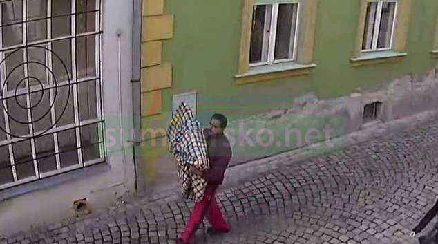 Muž měl odcizit obrazy z půdy