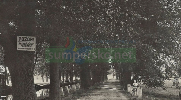 Aleje kolem našich cest a silnic