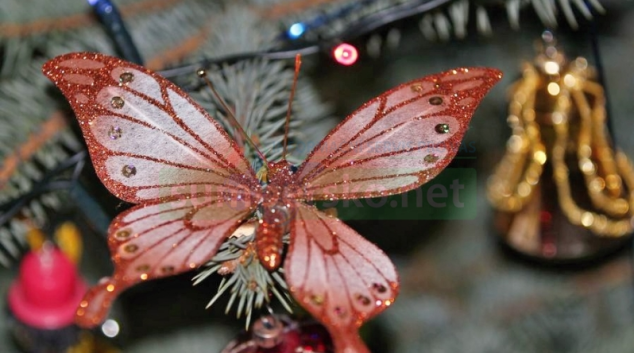 Dobročinný adventní koncert v Zábřehu