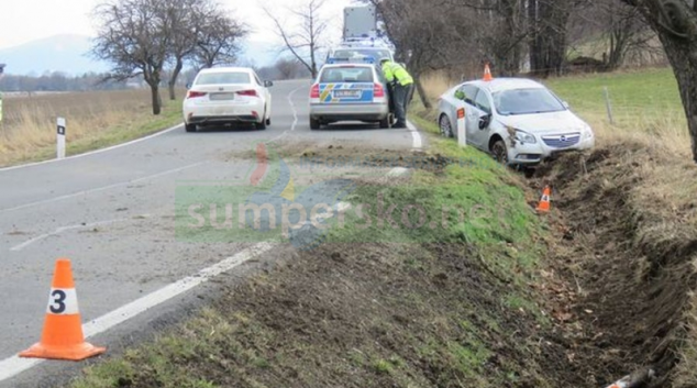Řidička se lekla srnky, řidič projel živým plotem