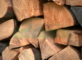 "Dřevaři" na Zábřežsku a Jesenicku kradli dřevo