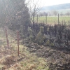 Hasiči v kraji vyjížděli k požárům trávy a lesů   zdroj foto: HZS OLK.