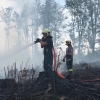 požár lesa - Olomoucký kraj                   zdroj foto: HZS OLK