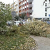 Silný vítr zaměstnává hasiče v celém Olomouckém kraji   zdroj foto: HZS OLK