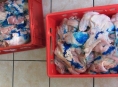 Státní veterinární správa na Moravě odhalila zásilky problematického masa