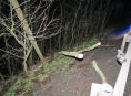 Na projíždějící vozidlo na Mohelnicku spadl strom