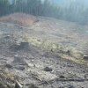 Olomoucký kraj - zásah hasičů - lesní požáry zdroj foto: HZS OLK