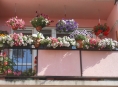 Zábřeh ocení rozkvetlá okna, balkony i předzahrádky
