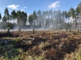 Lesní požáry v Olomouckém kraji likvidovalo čtrnáct jednotek hasičů