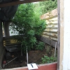 Muž ze Zábřežska pěstoval konopí na zahradě u rodinného domu - foto z domovní prohlídky zdroj: PČR