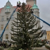 Začalo zdobení vánočního stromu v Šumperku     zdroj foto: mus