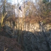 U Hranické propasti začala těžba přestárlých nebezpečných stromů    zdroj foto: LČR