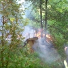 Požár půl hektaru lesa likvidovali hasiči na Šumpersku foto:HZS Ok