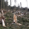 les na Kleti únor 2020                           zdroj foto: LČR