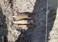 Nález munice v Rapotíně