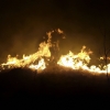 Hasiči v kraji likvidovali devět požárů lesa     zdroj foto: HZS OLK