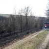 Hasiči v kraji likvidovali devět požárů lesa     zdroj foto: HZS OLK