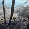 Požár lesa v Dětřichově, místní části Jeseníku, kde se tento týden v pondělí vymklo kontrole pálení klestí   zdroj foto: HZS OLK