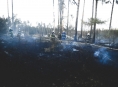Zásahy hasičů u lesních požárů v kraji pokračují i další dny