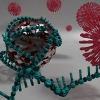vizualizace modelu nanočástice s navázanou virovou RNA   foto: Martin Pykal - upol.cz
