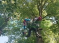 Evakuace paraglidisty ze stromu na Šumpersku