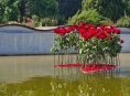 Akce „Vyznání růžím“ úspěšně zahájila sezónu květinových výstav