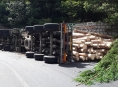 U Sobotína havaroval kamion se dřevem