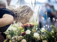 Letní Flora Olomouc bude letos jedinou květinovou výstavou tohoto rozsahu v ČR