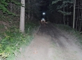 Motorkář havaroval v lese u Rejchartic