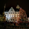 vánoční strom u radnice 2019                       zdroj foto: archiv sumpersko.net M. Jeřábek
