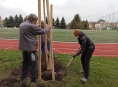 Zaměstnanci z šumperské „Pětky“ vysadili nové stromy