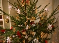 Svoz odložených vánočních stromků