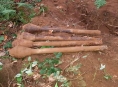 Zrezivělá munice ležela v lesním porostu