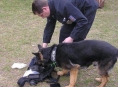 Policejní pes Falko opět pomohl